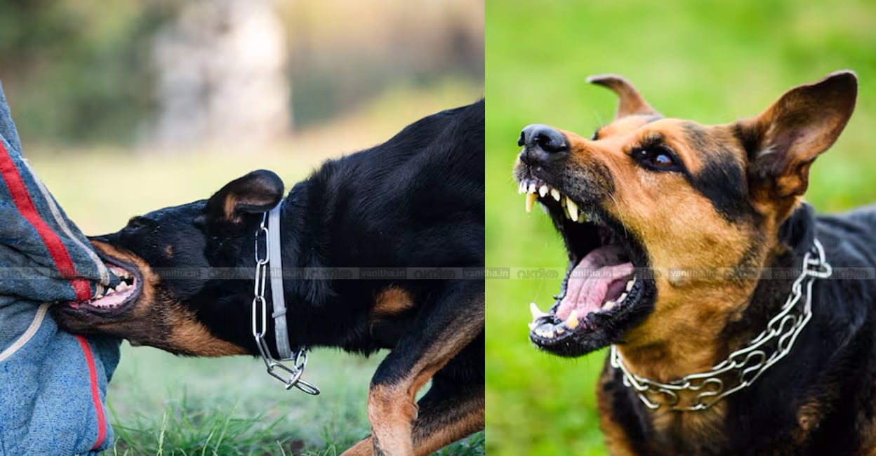 dog-bite-alert-doctor-post