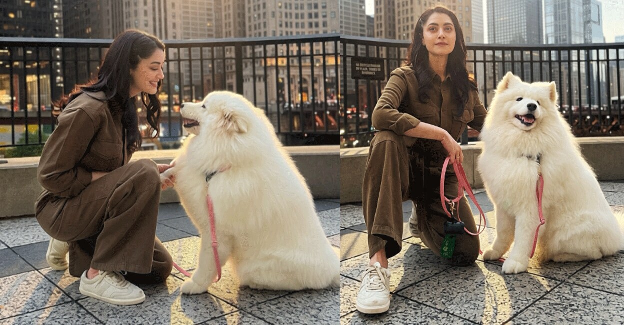 mamtha-and-dog-gif