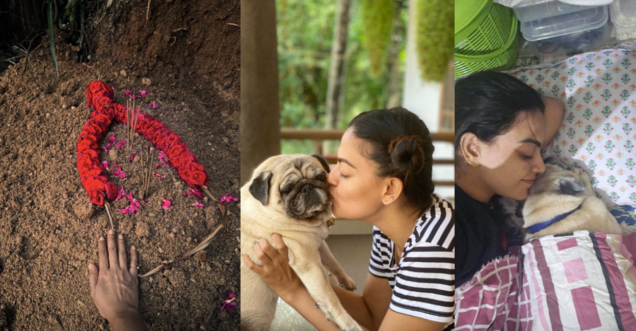 anusree-pet-dog