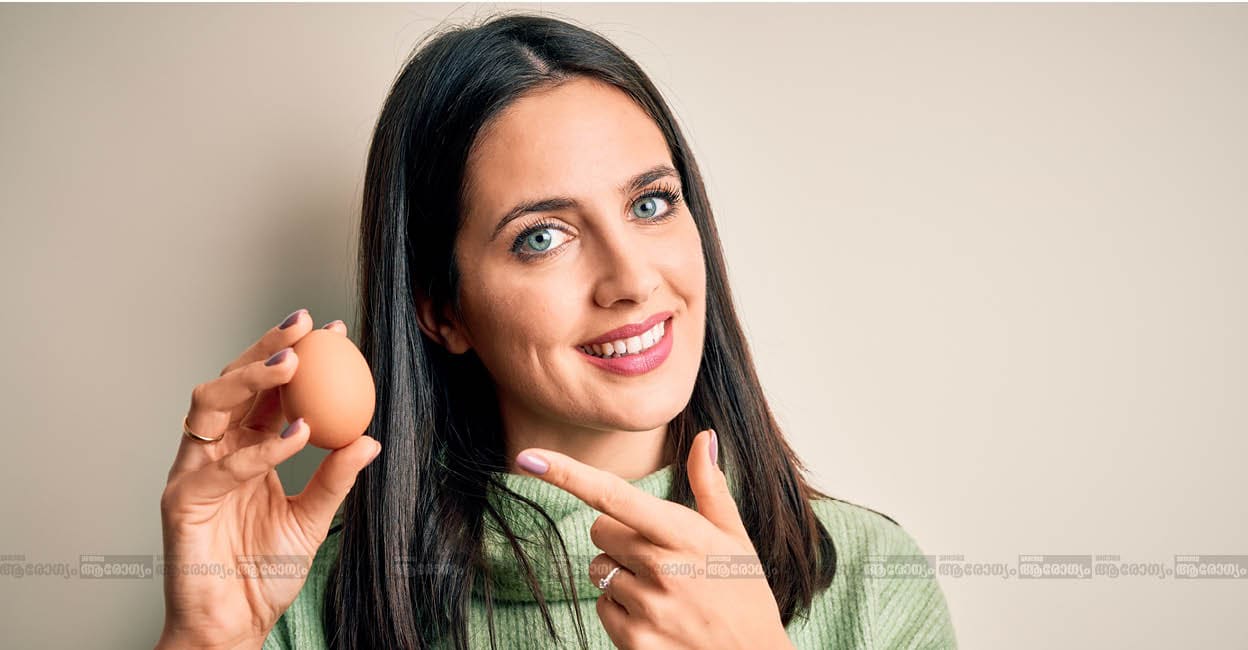 egg