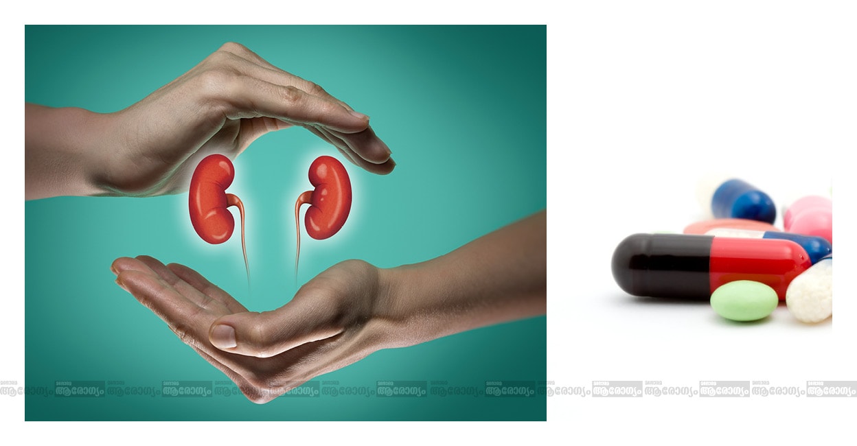 kidneypic1