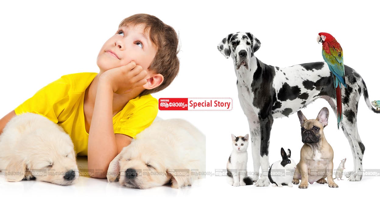 pet-allergy