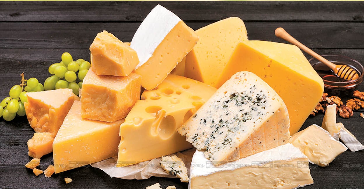Cheese