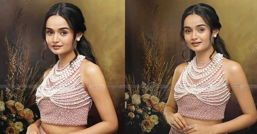 ‘പഠിക്കേണ്ട സമയത്ത് അഭിനയിക്കാൻ വിട്ടു, കുട്ടിക്ക് വിവരമില്ലാതായി..’; ചെറിയ പ്രായത്തില്‍ മീനാക്ഷി നേരിട്ടത്...