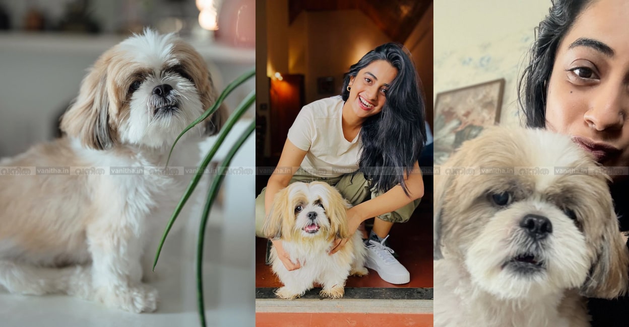 namitha-pramod-pet-story