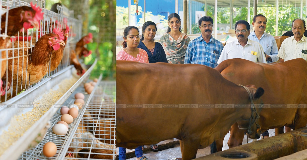 community-dairy-farm