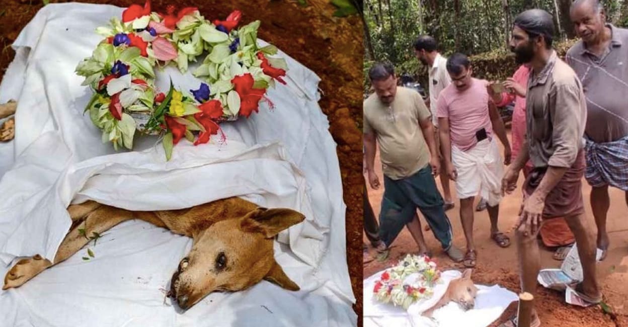 sony-dog-funeral