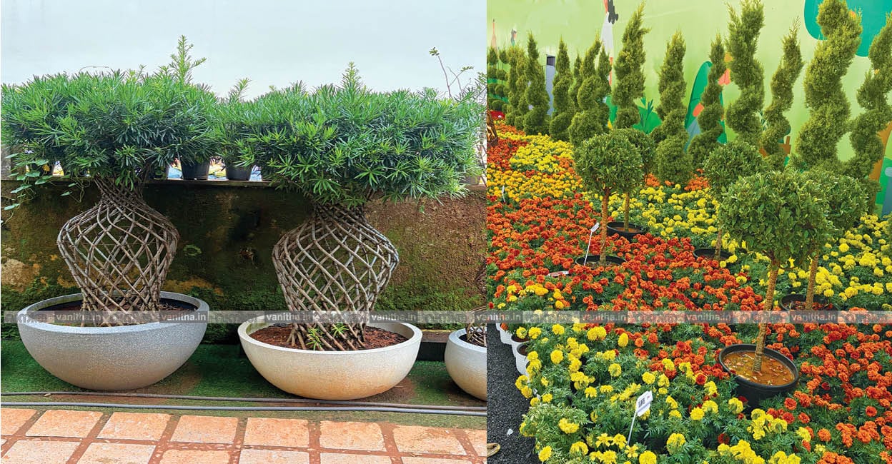Topiary