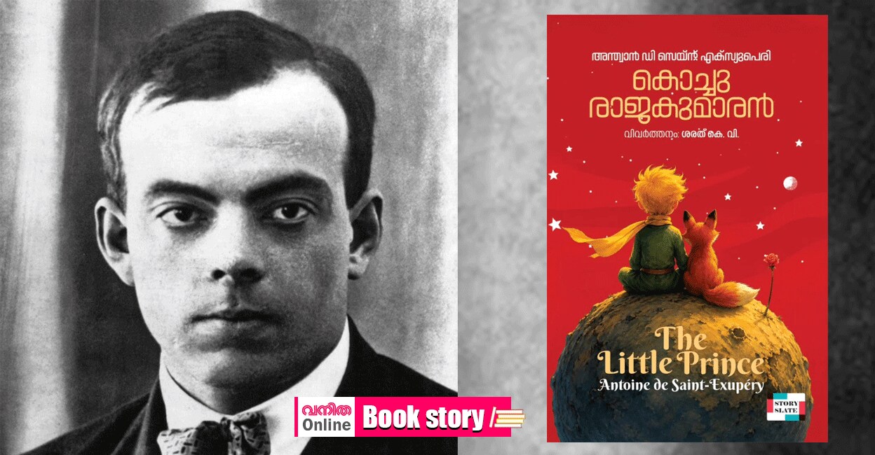 little-prince-novel-1-gif