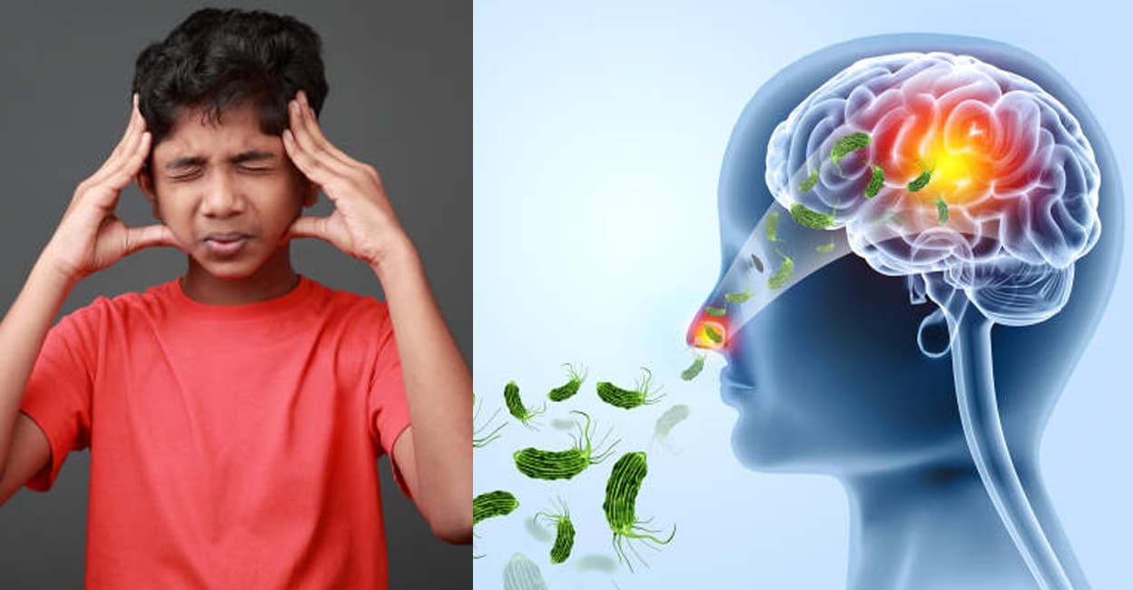 brain-eating-amoeba-repost