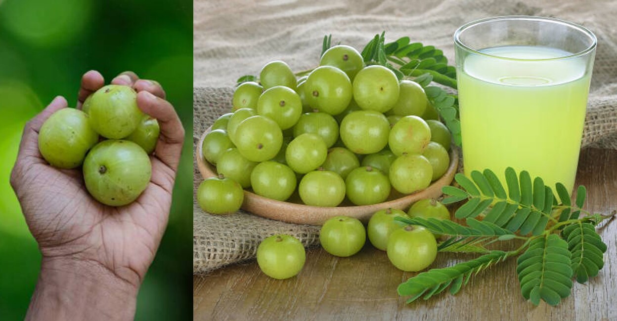 Indian-Gooseberry-Consumption