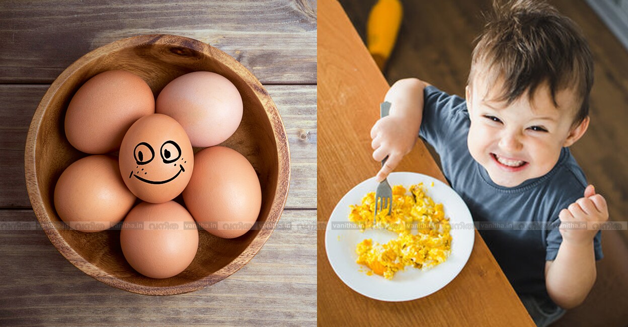 egg-benefits-nutrition-and-weight-loss