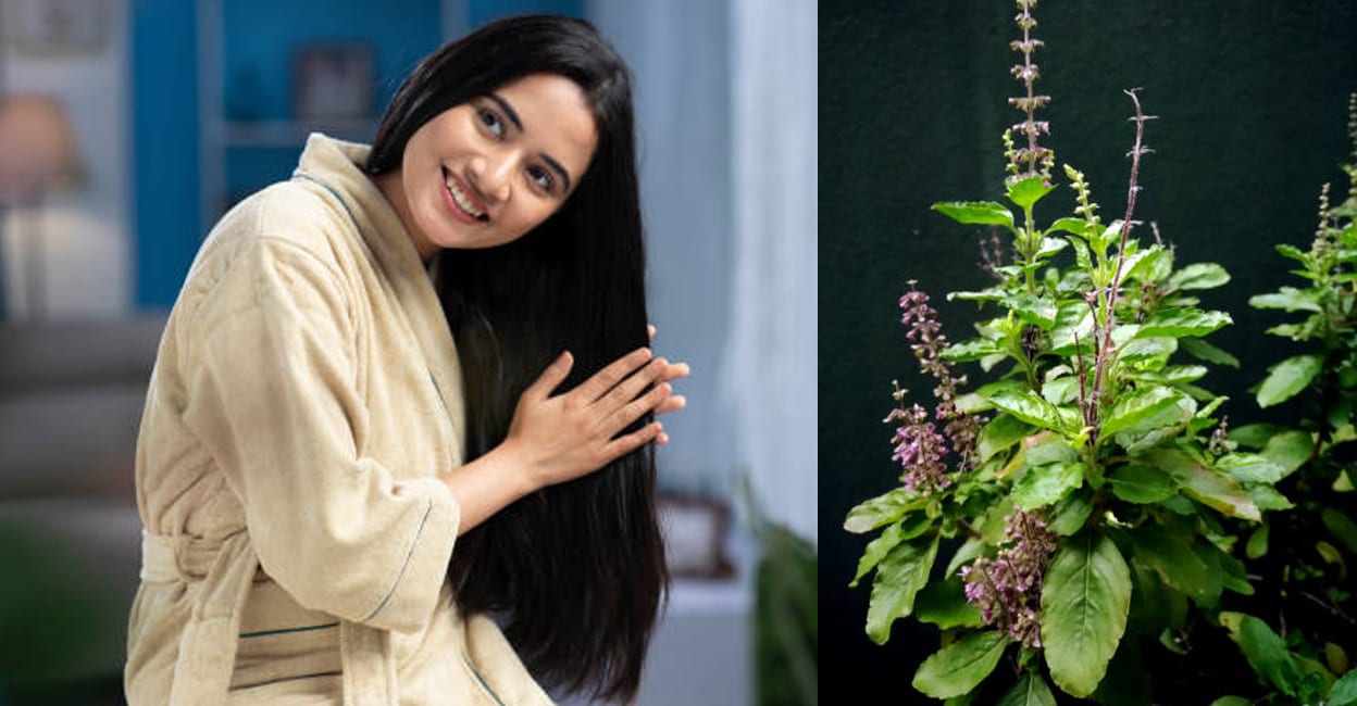 tulsi-for-hair-growth