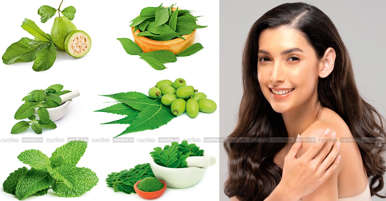 ayurvedic-beauty-secrets-with-six-leaves