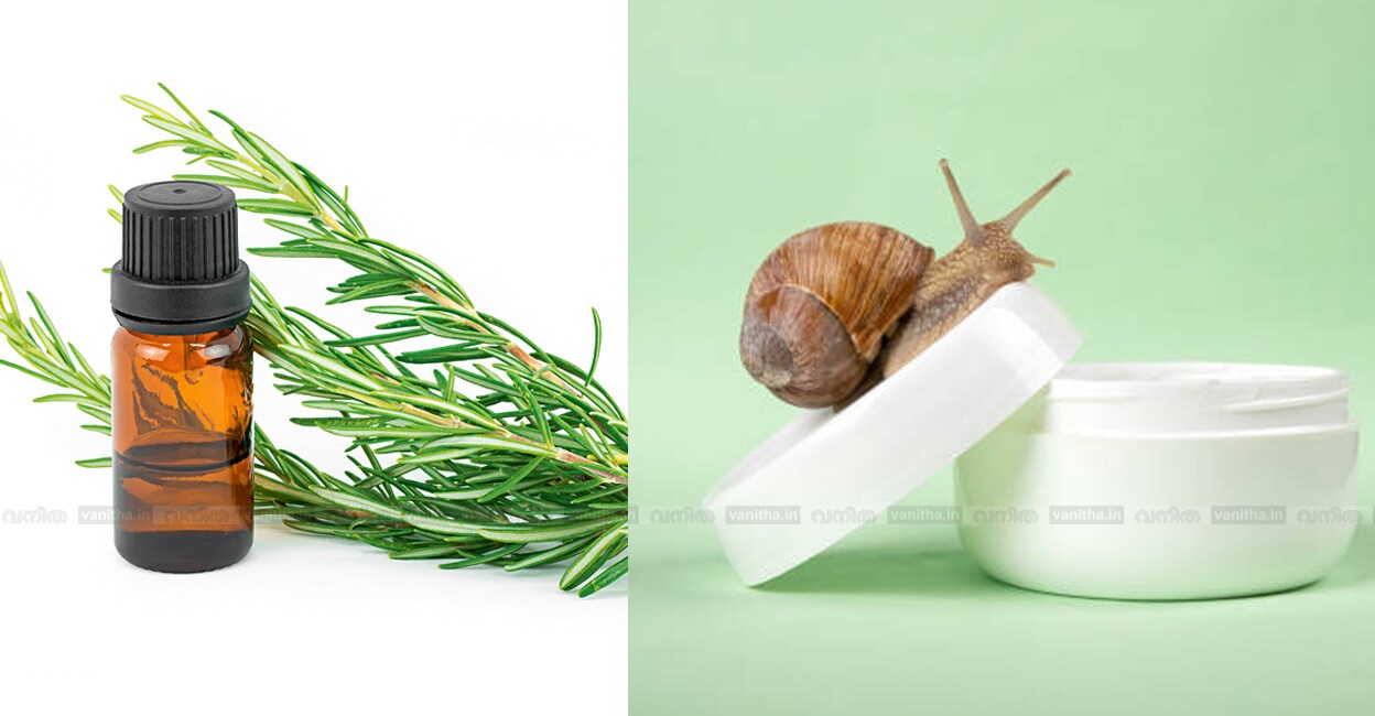 rosemary-oil-hair-growth-snail-mucin-skincare