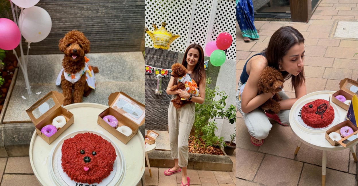 trisha-pet-dog-birthday