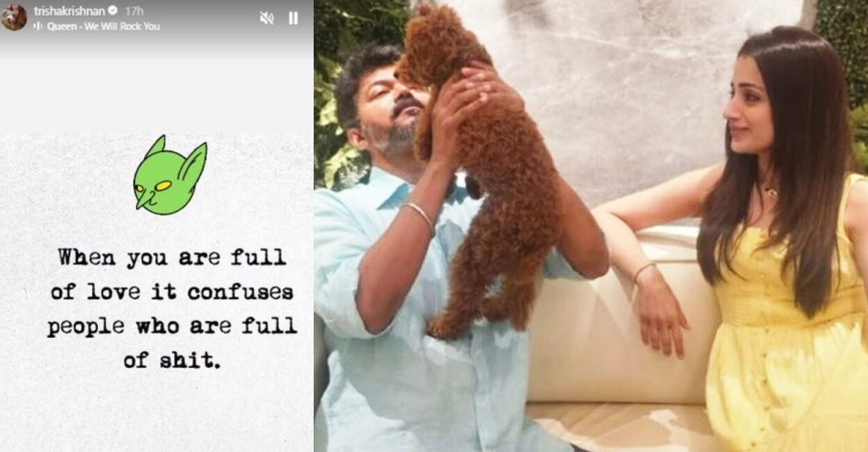 thrisha-vijay-gossips