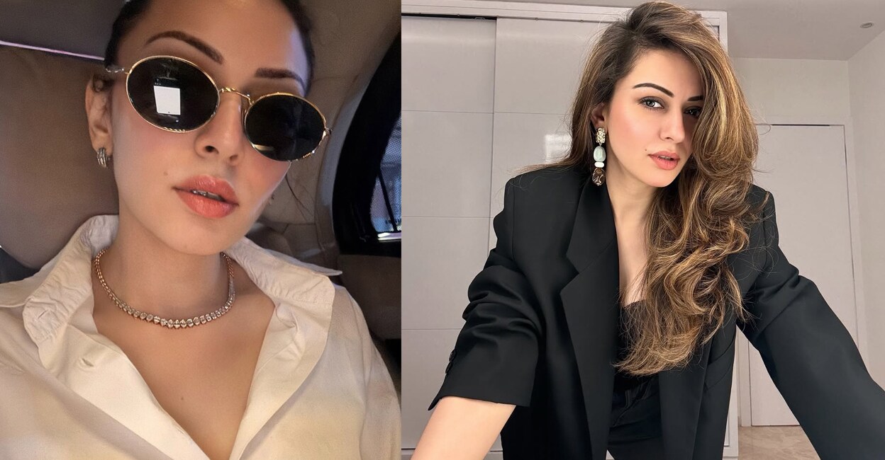 hansika-motwani-case