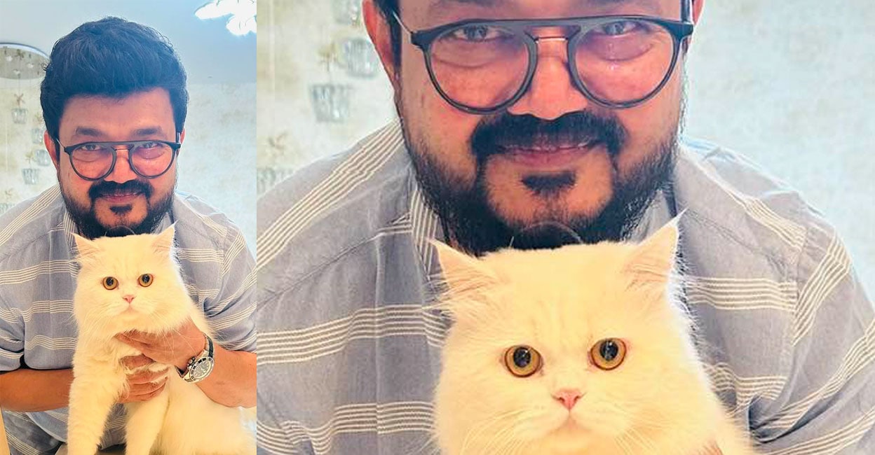 nadhirsha-cat
