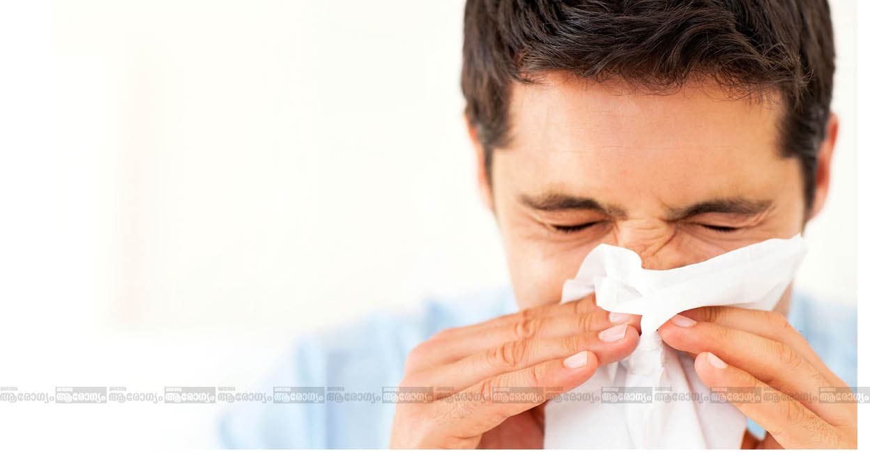 allergy