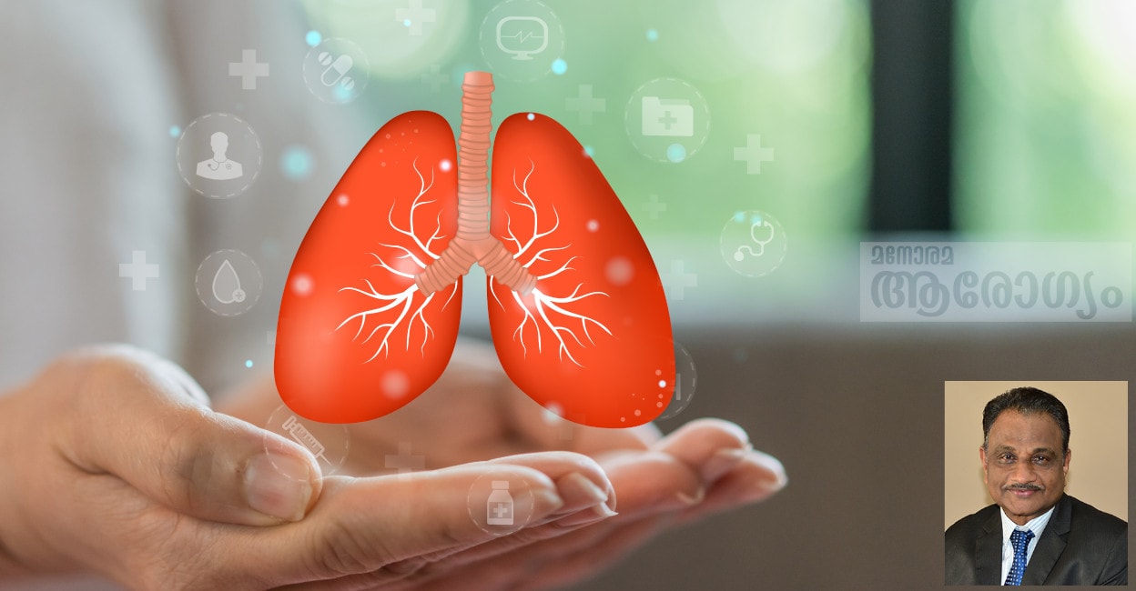 lungs433