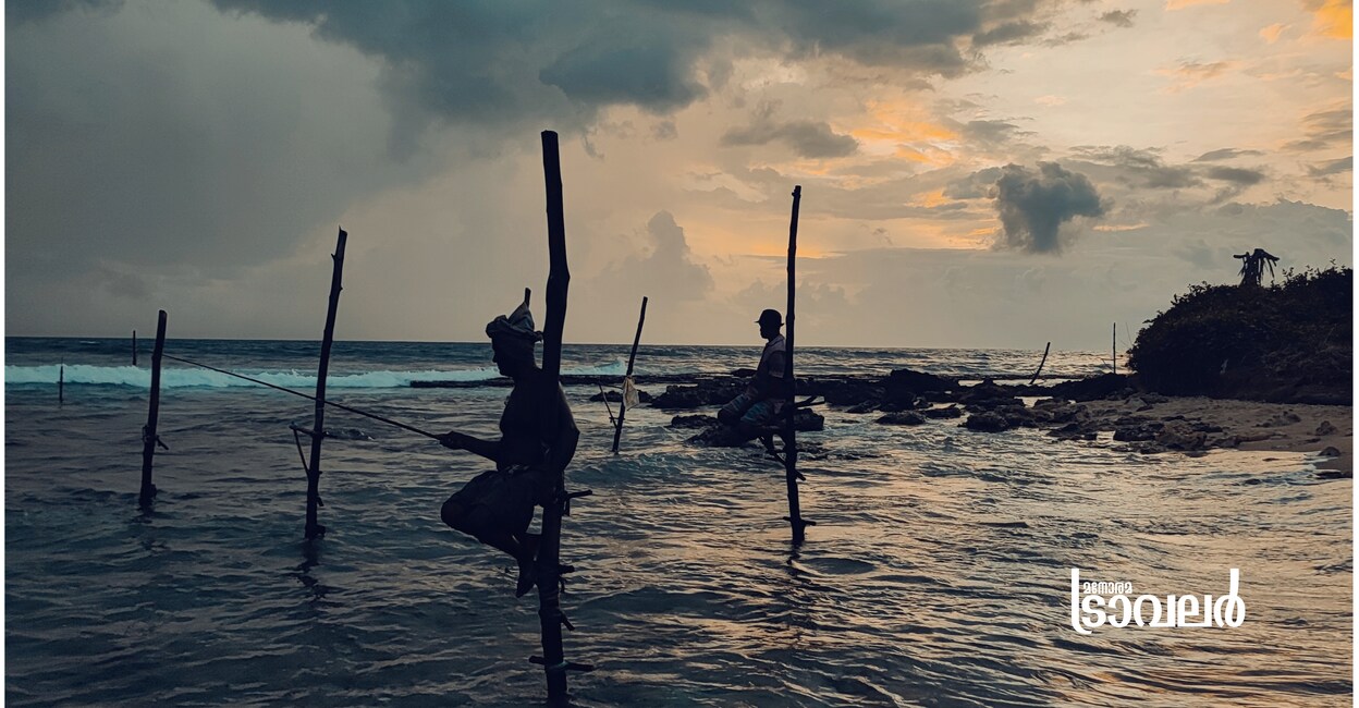 Gallestiltfishing