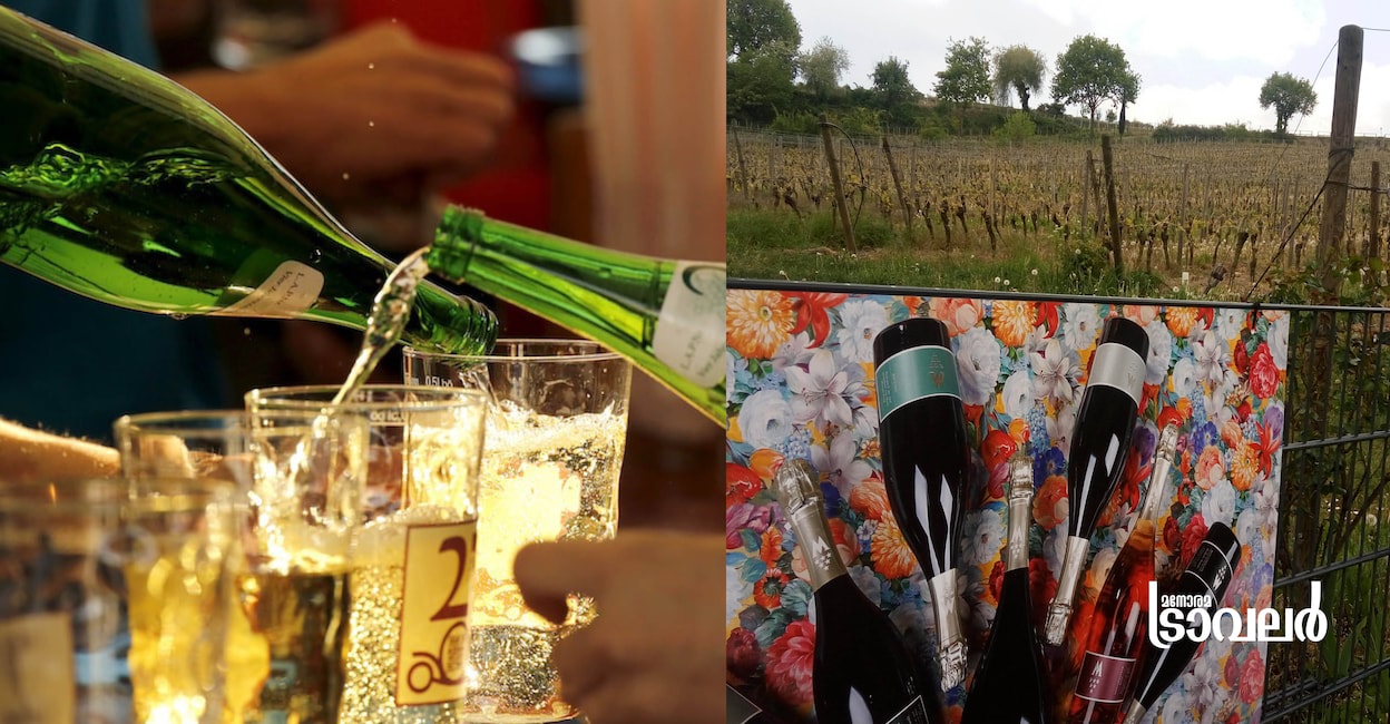 winefestnew2 winefestnew2