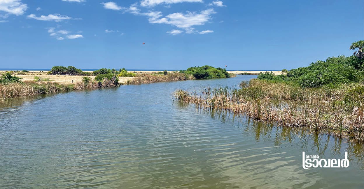 Batticaloabackwater