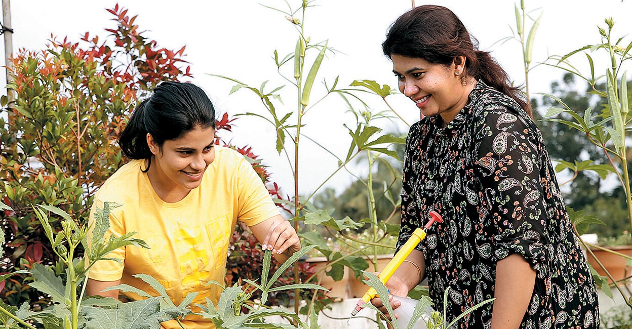 crops-5