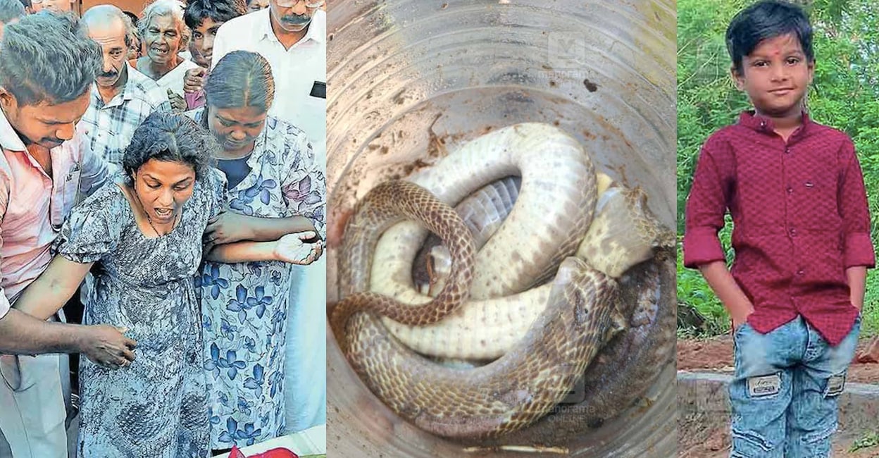 dikdhal-snake-bite-hospital-negligence