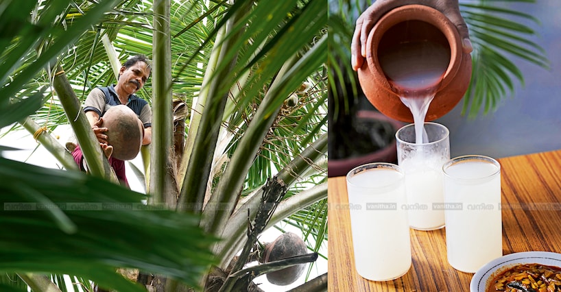 ‘സത്യമുള്ള ജോലിയാണ്.. തെങ്ങും ചെത്തുകാരനും ഒന്നാകുന്ന അവസ്ഥയുണ്ട്, അപ്പോഴെ മാട്ടം നിറയൂ...’; കള്ളിനൊപ്പം ഒരു യാത്ര