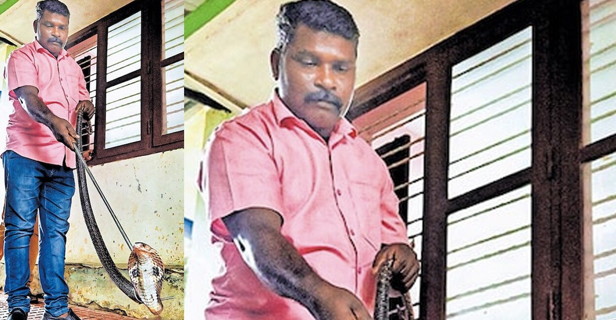 raveendran-snake-catcher
