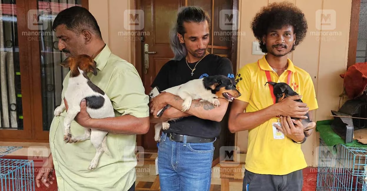dogs-trippunithura