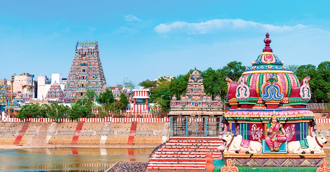 ഫോട്ടോ : ശ്രീകാന്ത് കളരിക്കൽ 