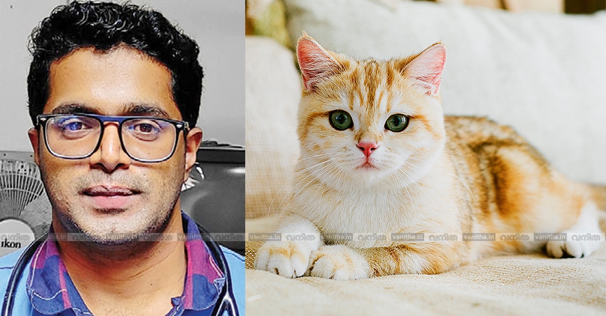 Understanding-Diabetic-Ketoacidosis-in-Cats Understanding-Diabetic-Ketoacidosis-in-Cats