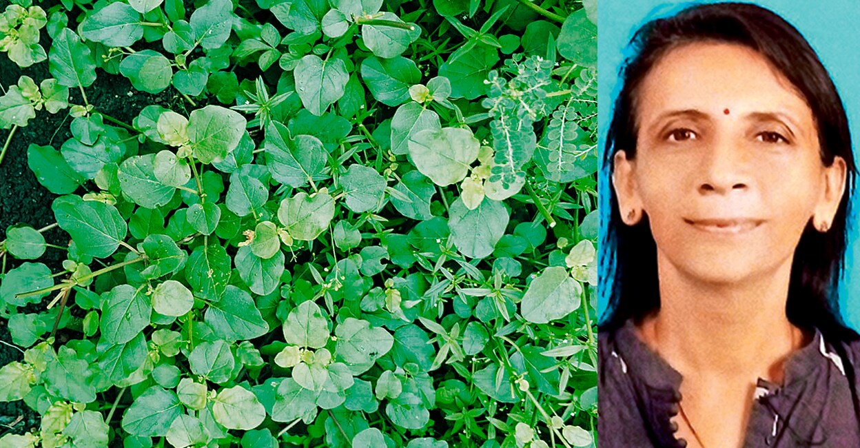 thazhuthama-agriculture