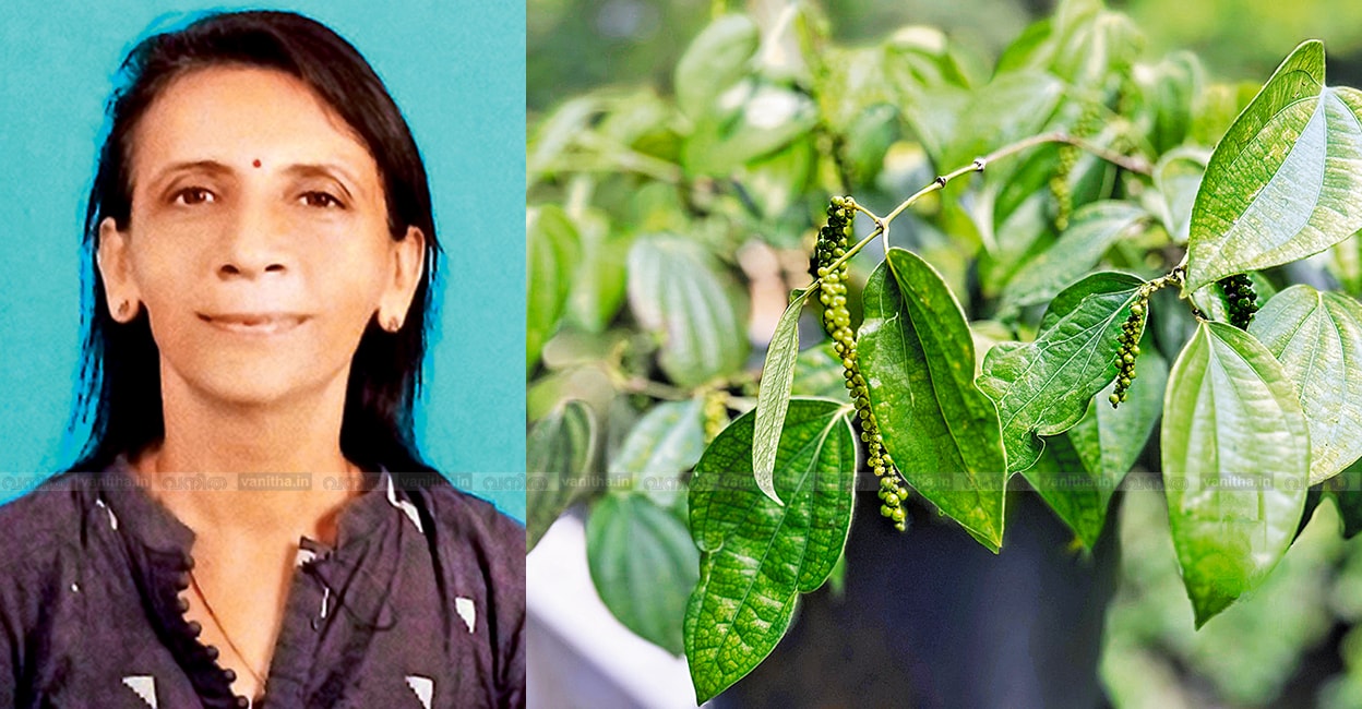 pepper-yield-home-agriculture