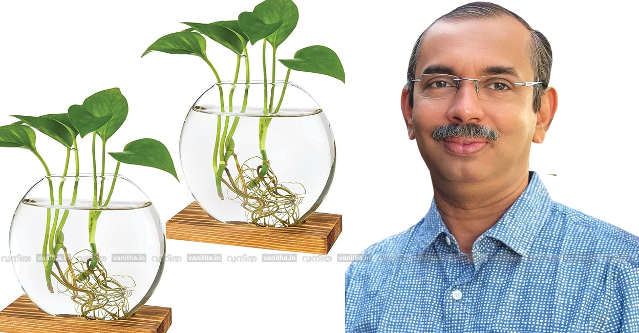 growing-indoor-plants-in-water-a-simple-guide