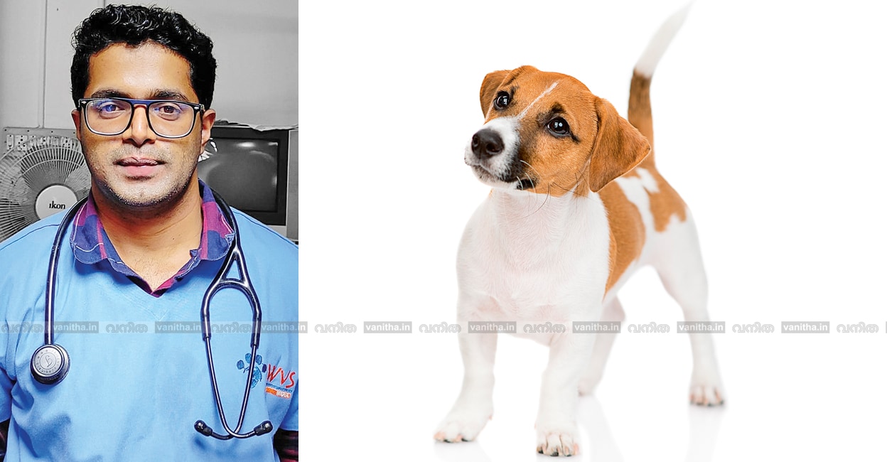 puppy-kitten-intestinal-problems