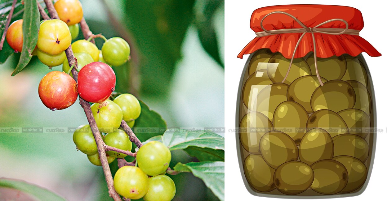 indian-plum-loololikka