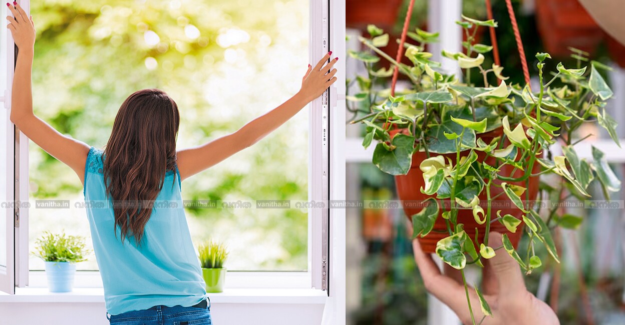 summer-tips-reduce-hot-inside-home