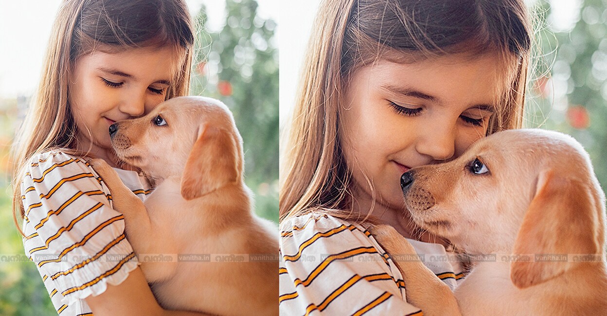 choosing-the-right-puppy-breed