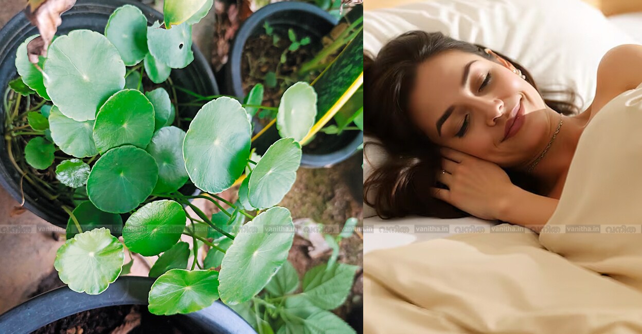 kudangal-muthil-benefits-memory-booster