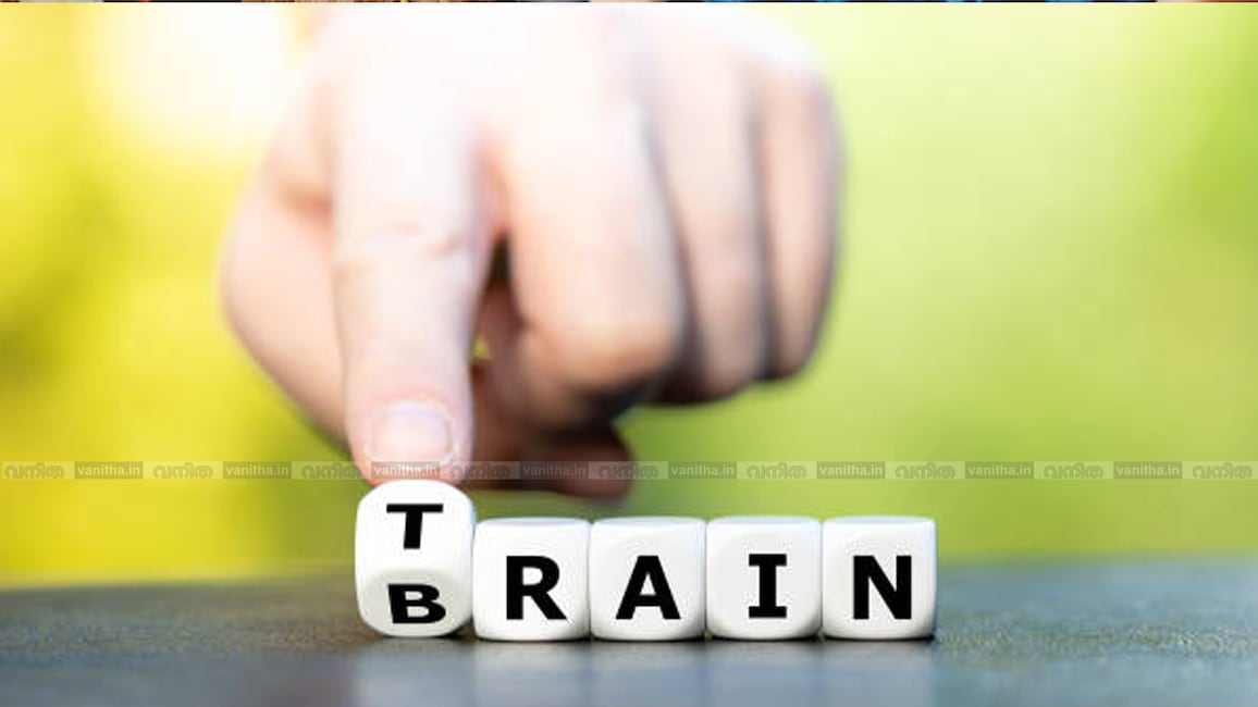 trainbrain