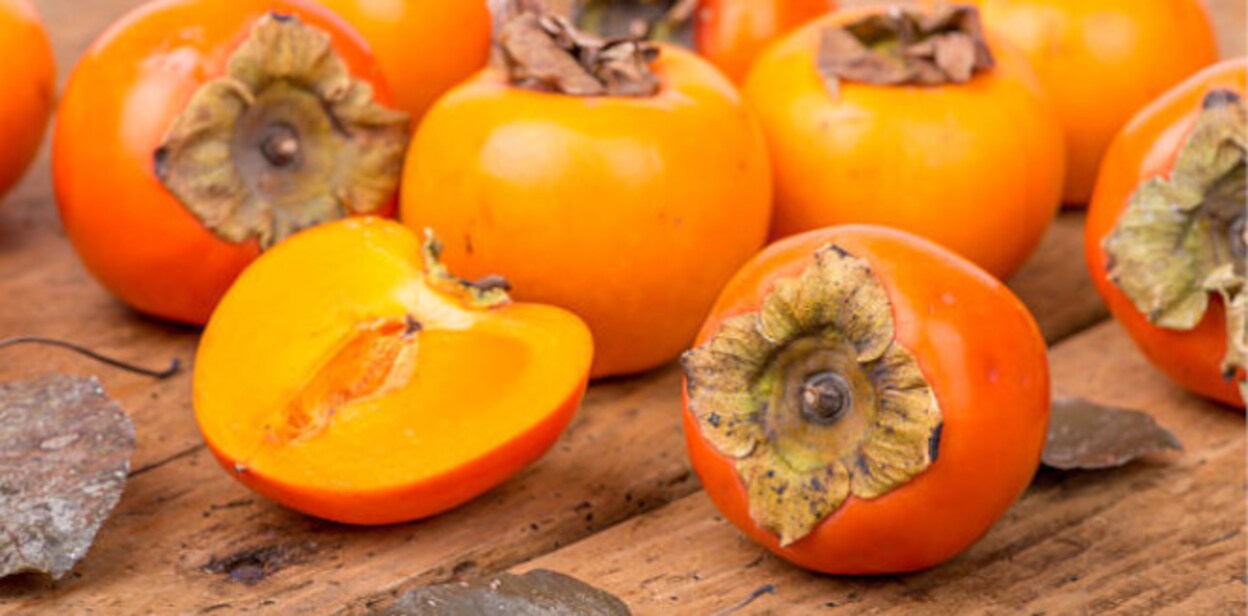 persimmon