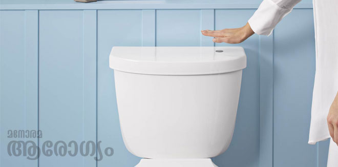 Flush-Toilet2
