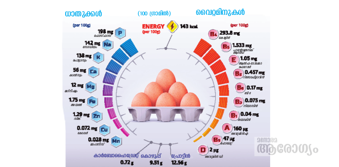 egg546