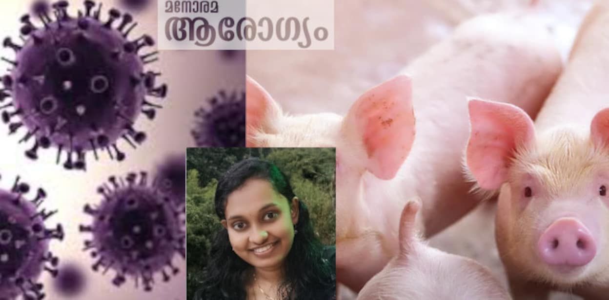african-swine-fever-rtt