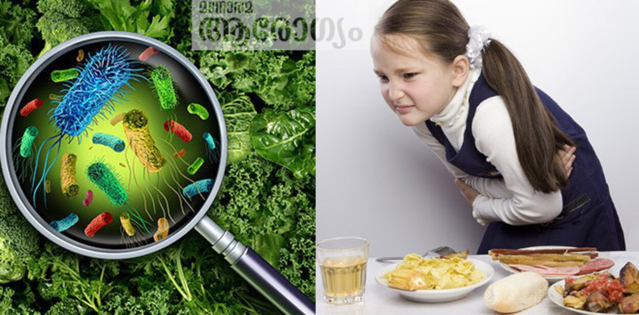 foodinf234
