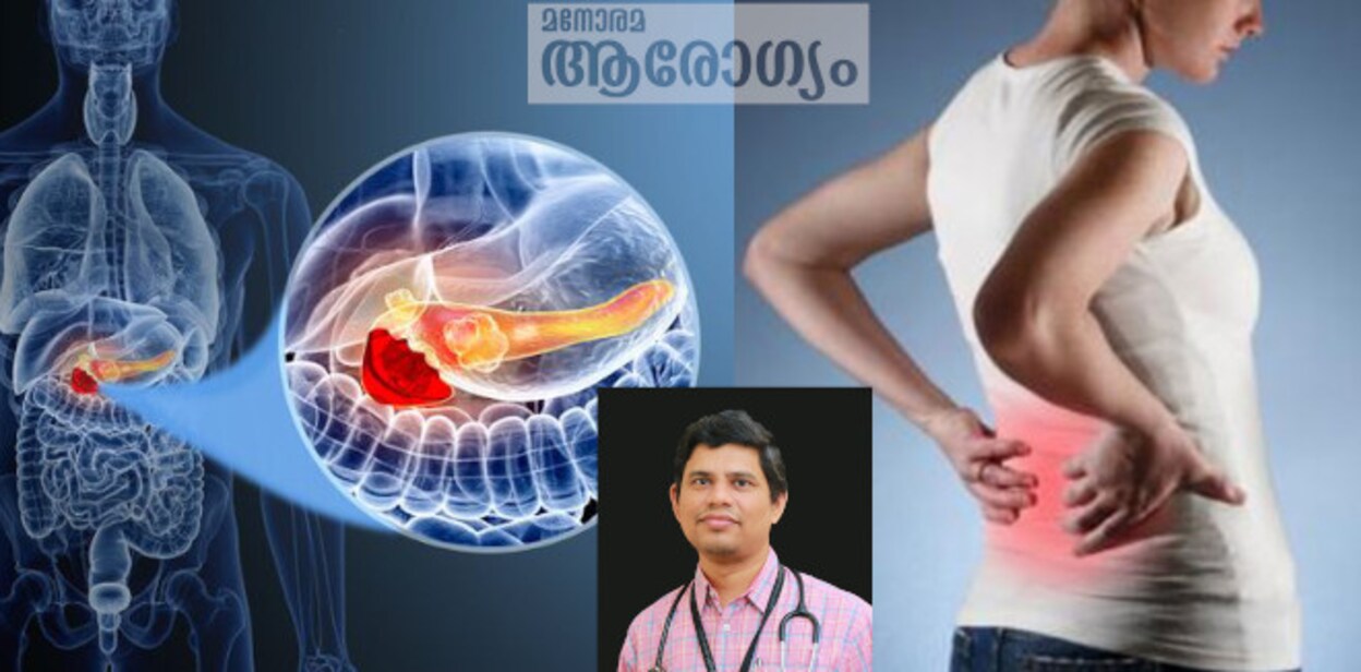 pancreas343434jpg